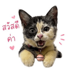 Sirisak_20260428001522