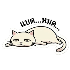 Dazed cat, spacing out everyone ver.1