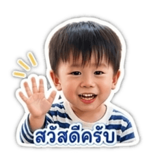 TN good boy