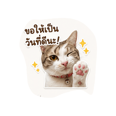 foryou_20260427234613