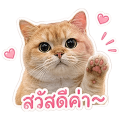 nanny_20260427234905