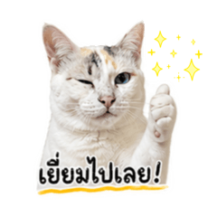 Bubblestory_20260427234640