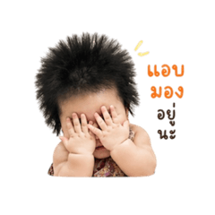 Nichaphat_20260428002004