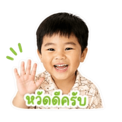 Cat_20260428002008