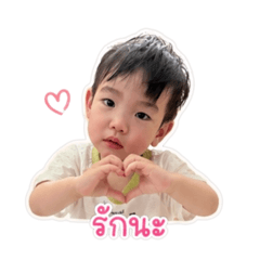 TYL.PCPL_20260428002807