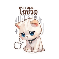 Anny_20260428002720