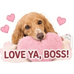 BAPISU_20260425034341