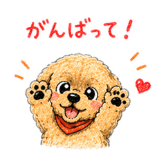 momomi_20260429130346