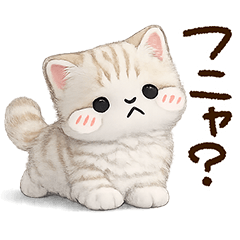 Munchkin tiger cat