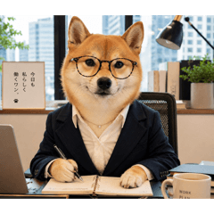 shiba dog!! cute!!