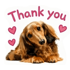 BAPISU_20260425030035