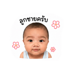 Aden_20260428003734