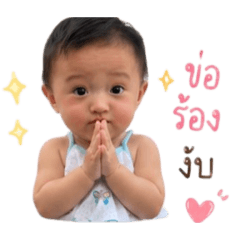 Pai-R_20260428160712
