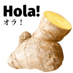 Flesh Ginger 9