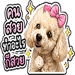 Kati the Silly Dog