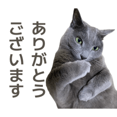 spam-bell_20260429135005