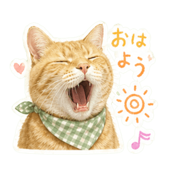 UchiNoMeru_2020