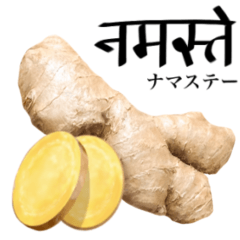 Flesh Ginger 10