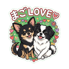 matsuchiyo_20260429134801