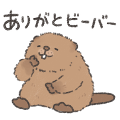 Fluffy baby beaver 2
