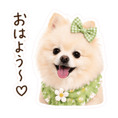 wataame_20260429143816