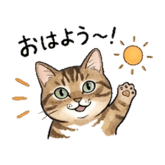 simacyan Daily Chat Stickers