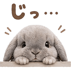 Loppy Rabbit BASIC2