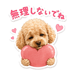 shirochoko_20260429145937