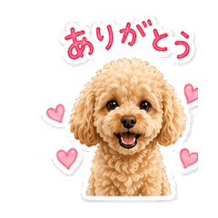 shirochoko_20260429150639