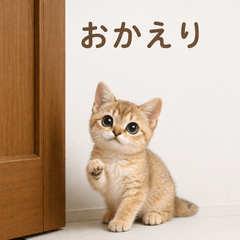 For Singapura kittens and cat lovers