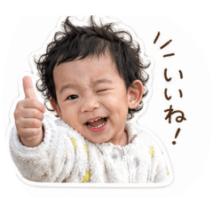 potaro_20260429150857
