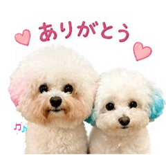 kazu/pin go_20260429151259