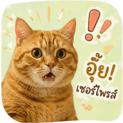 FatMeowMeow