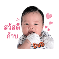 Cake_20260428012452