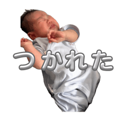 mao_20260429152402