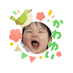 Sakurako_20260429153642