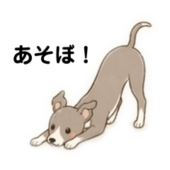 Wagayanowanko(itagure)