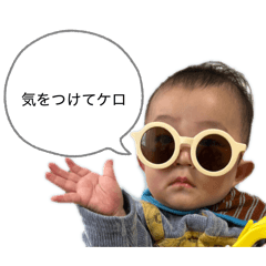 hibi_20260429155020
