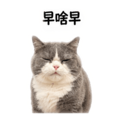 nomi日常生活