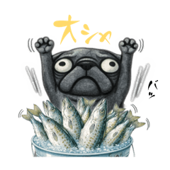 fishman@_20260425121049