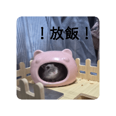 藍宇灰的慵懶日記