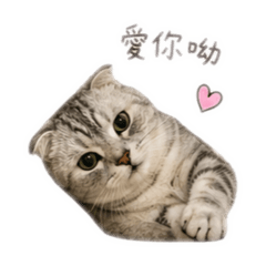 可愛いbubu
