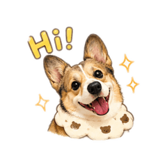 柯基肉肉-日常篇