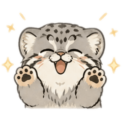 圓滾滾警告！野生兔猻的治癒放送