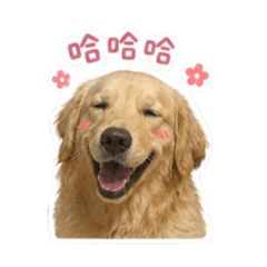 DiDi 日常生活篇