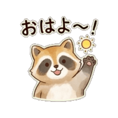Raccoon - DailyStickers