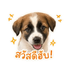 Thatsaran_20260428004845