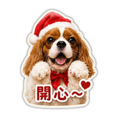 查查卡布日常用語