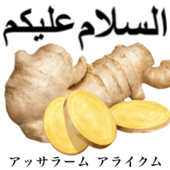 Flesh Ginger 13