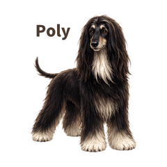 Polys Gentle Daily Stickers
